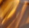 brun